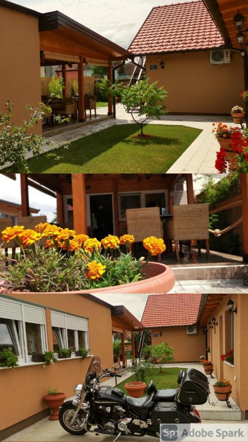 Villa Klara Novi Sad Eksteriør billede