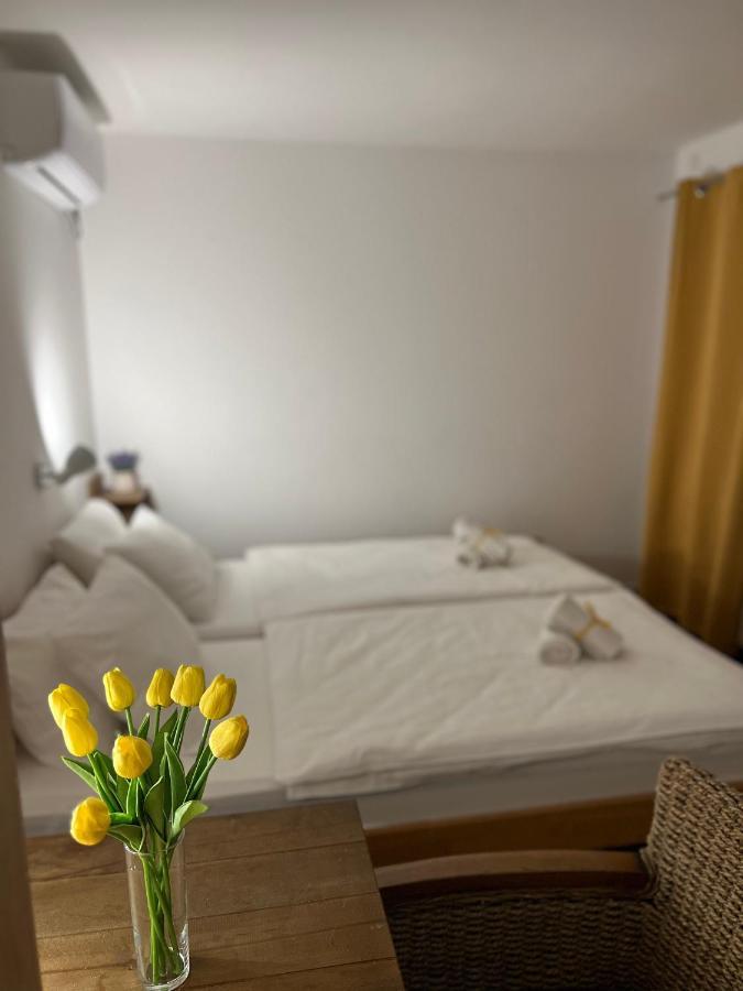 Villa Klara Novi Sad Eksteriør billede