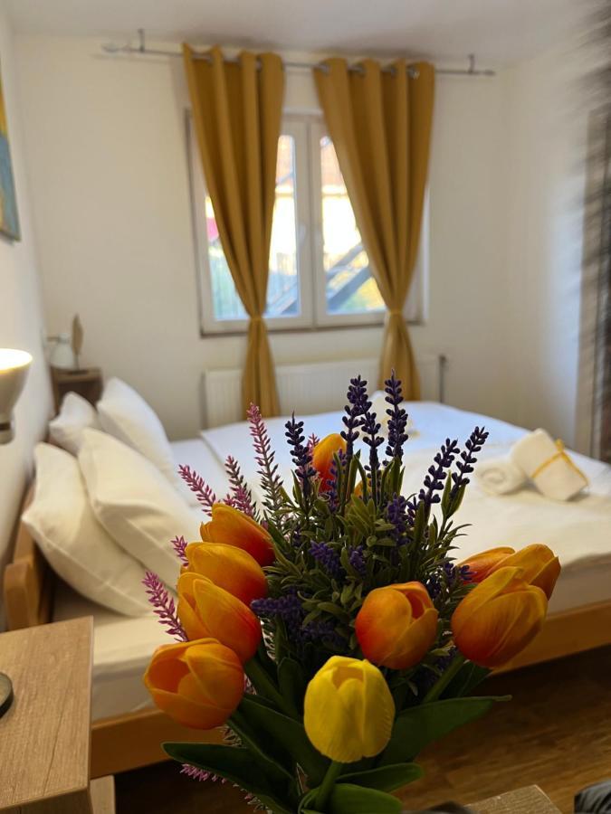 Villa Klara Novi Sad Eksteriør billede