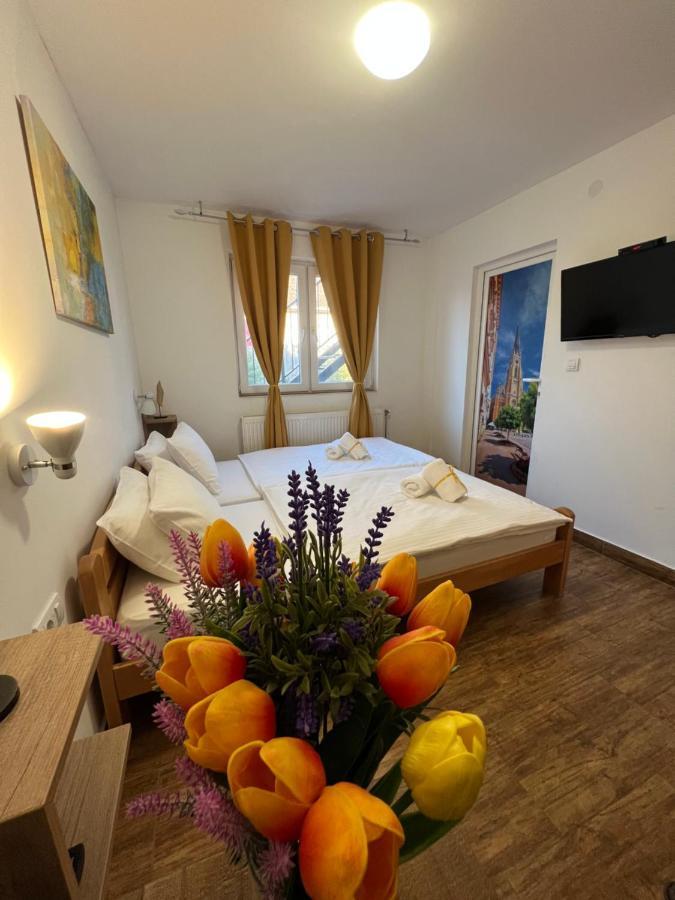 Villa Klara Novi Sad Eksteriør billede